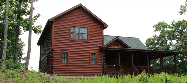 Professional Log Home Borate Application  Gloucester County, Virginia