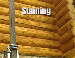  Gloucester County, Virginia Log Home Staining